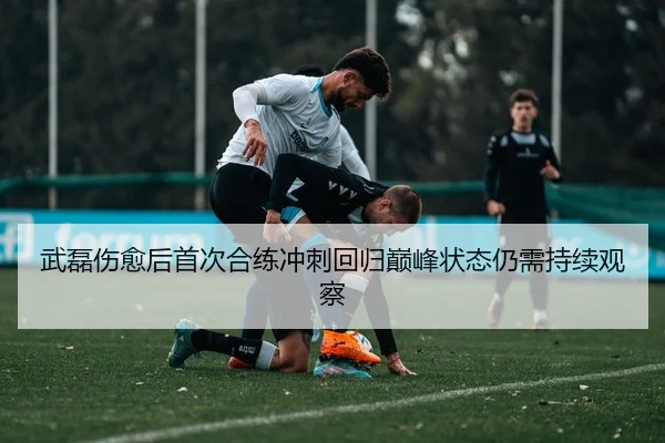 武磊伤愈后首次合练冲刺回归巅峰状态仍需持续观察