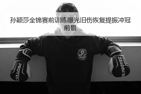 孙颖莎全锦赛前训练曝光旧伤恢复提振冲冠前景