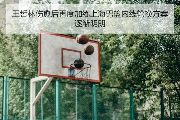 王哲林伤愈后再度加练上海男篮内线轮换方案逐渐明朗