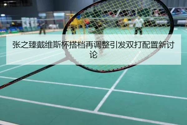 张之臻戴维斯杯搭档再调整引发双打配置新讨论